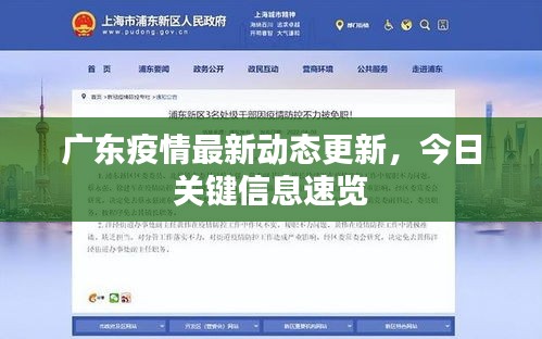 广东疫情最新动态更新,今日关键信息速览