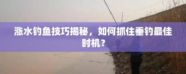 涨水钓鱼技巧揭秘,如何抓住垂钓最佳时机?