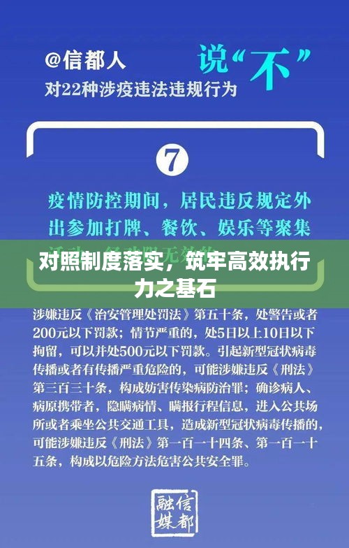 对照制度落实,筑牢高效执行力之基石
